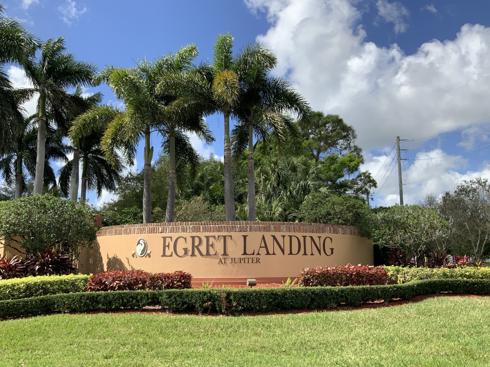 Egret Landing at Jupiter