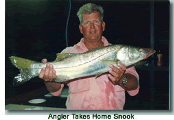 Snook Catch