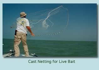 Cast Netting in the Everglades