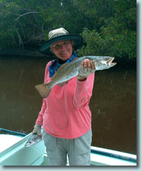 Seatrout