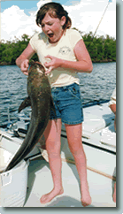 Cobia Catch